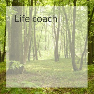Ann De Schepper Life coach