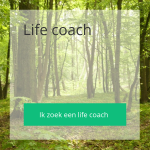 Life coach