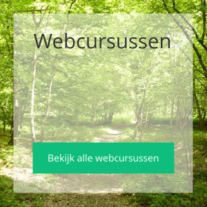 Ann De Schepper - Webcursussen