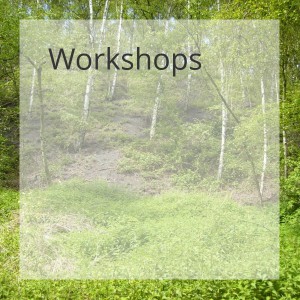 Ann De Schepper Workshops