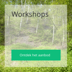 Ann De Schepper - Workshops